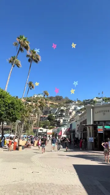catalina island:) #avalon #catalinaisland #summerdiml #vlogging #fypシ゚viral 