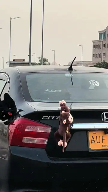 😂. Order now at 40% off #longarmmonkey #hangingtoy #caraccessories #fyppppppppp