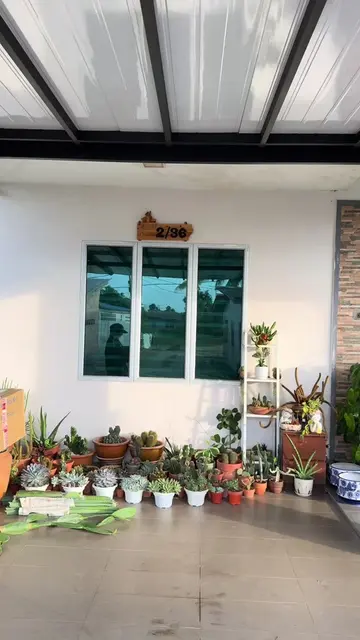Jom teman aku unboxing cactus paling mahal dalam koleksi aku!! #cactuslovers🌵 #