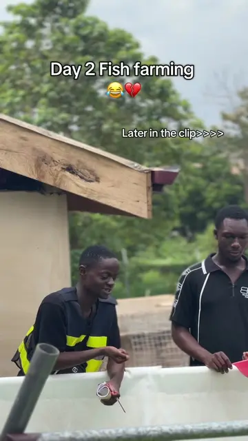 #fishfarming #fishtank #fieldtrip #ghanatiktok🇬🇭 @THE_BOYS🤎🧸  shot it @Mr.La