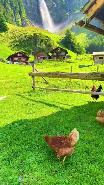 SWITZERLAND 🇨🇭❤️ #switzerland #swissbeautiful #tiktoktravel #travel #swiss 