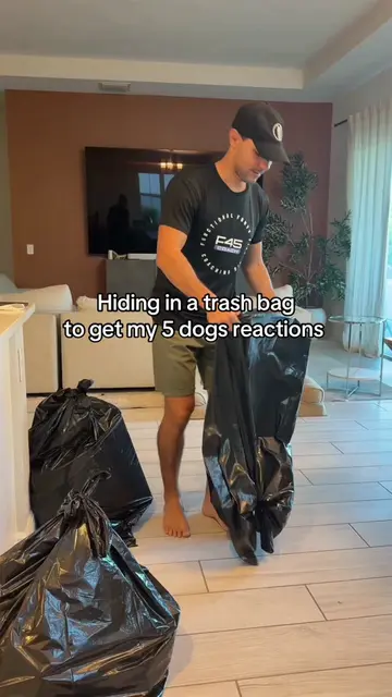 No trash is safe around here 🙈 IB: @Suavexavier  #dogsoftiktok #goldenretriever