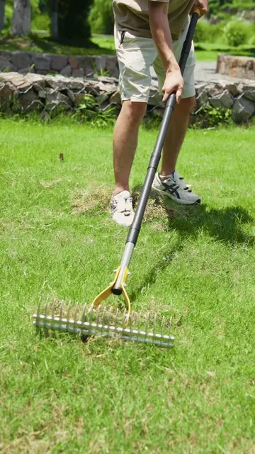 #yardwork #garden #gardentok #amazon #amazonfinds #fyppp #fotyou #yard #tools #f