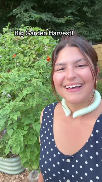 The garden harvests are coming in strong! It’s getting hard to keep up 😅 what a
