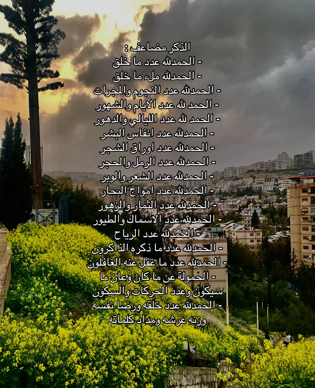 #withoutmusic #fyp #fy #اكسبلورexplore  #foryou 