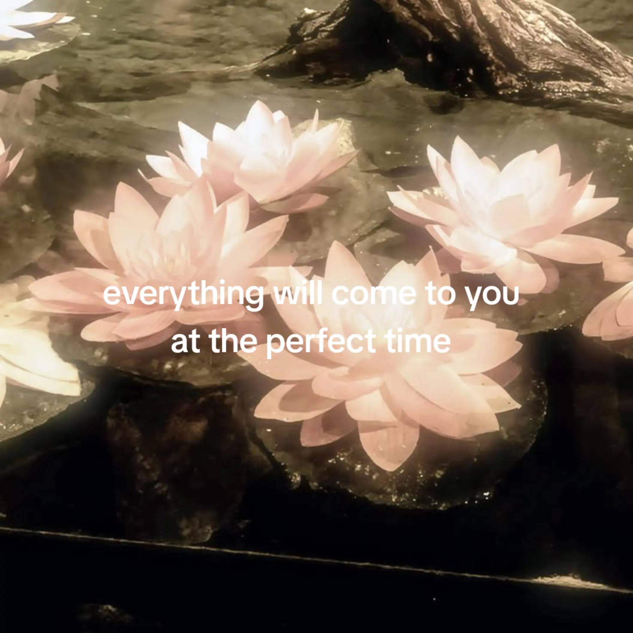 so, don't worry about anything 🥹💖 #Mindset #affirmations #manifestation #posit