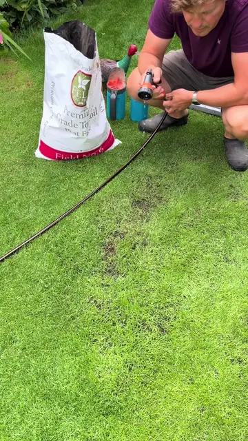 How To Thicken Up Summer Lawn 🌱 Please do watch and listen along 👍  I’ve got a