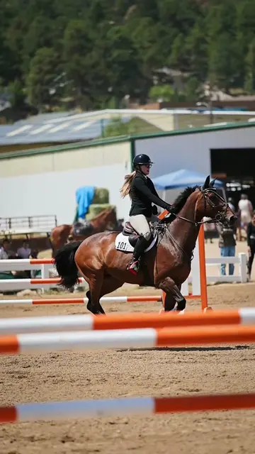 Noodle, you cannot be real🤯🥺 #fyp #horsegirl #horselife #badass #jump 