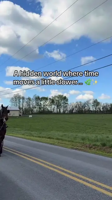 Exploring an Amish community and experiencing a way of life centered on simplici