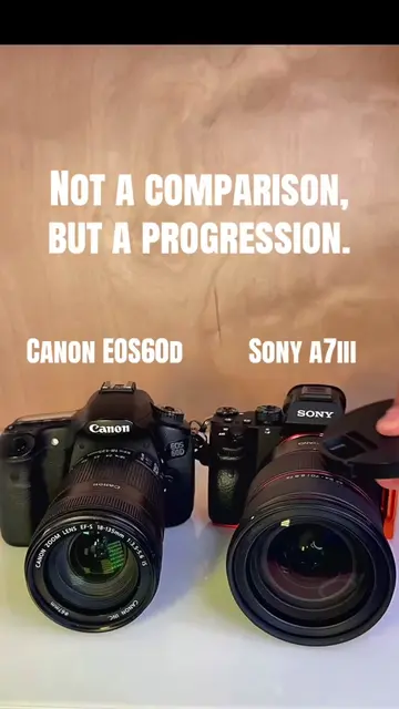 Canon eos60d and Sony alpha a7iii #camera #photography #sony #canon #fyp 