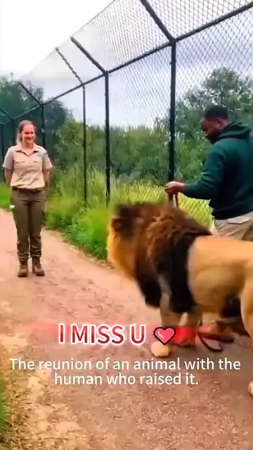 Animals reunites with owner after many days apart.😘🥰 #pet #cat #dog #cute #ani