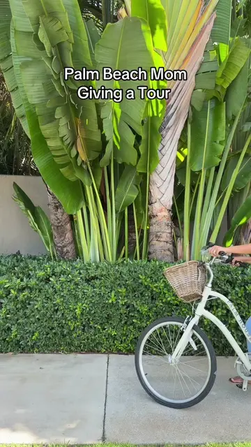 Palm beach mom✨🙈 #palmbeach #mom #comedy #funny #fyp