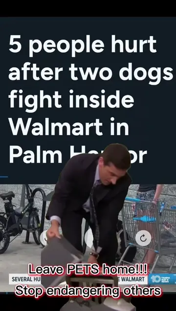 Walmart is NOT pet friendly!! Walmart is not ESA friendly!! Your non service ani