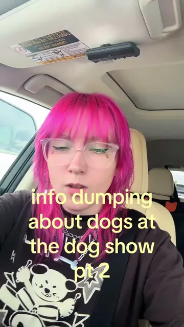 this is ur sign to go to ur local dog show!!!! its so fun!! 🥹🐾 #dogshow #houst