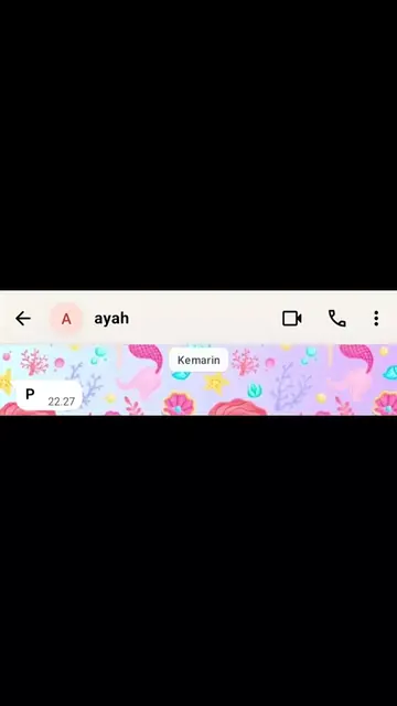 #ayah #daddy #meme #chatwa #ayahdananakperempuannya 