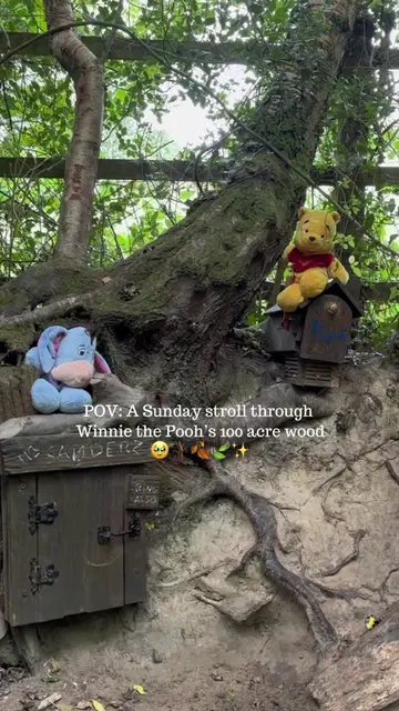 The perfect Sunday walk does exist  🍯🌲🍃 We spent our Sunday morning stepping 