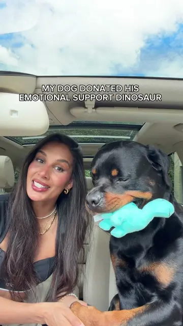 let’s get him adopted! 😭 #rottweiler #rescuedog #shelterdog 