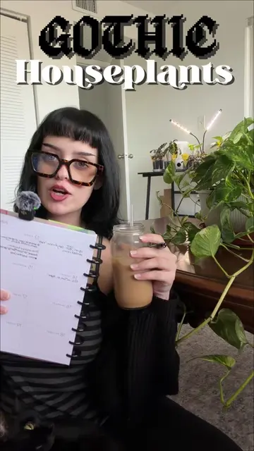 My top 3 Gothic Houseplants I think every alternative leaning plant parent needs