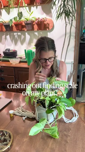 ughhh finding a pest on your plant is the worst feeling!! Luckily I feel like sc