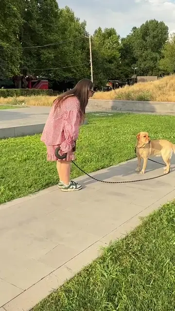 Դիմավորեք! Էլենչ և Փոդինգթոն! 📸🐶😍 Ամբողջական տեսանյութը կարող եք դիտել իմ յու