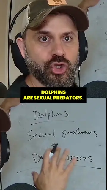 Dophins #dolphin #story #ocean