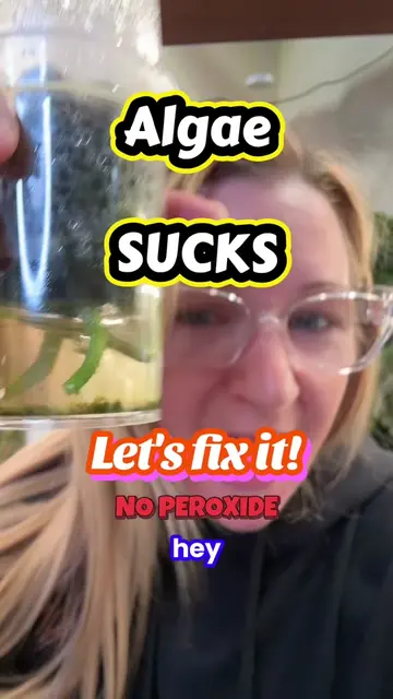 Algae sucks in your houseplants. Let's fix it.  #PlantTok #planteducation #house