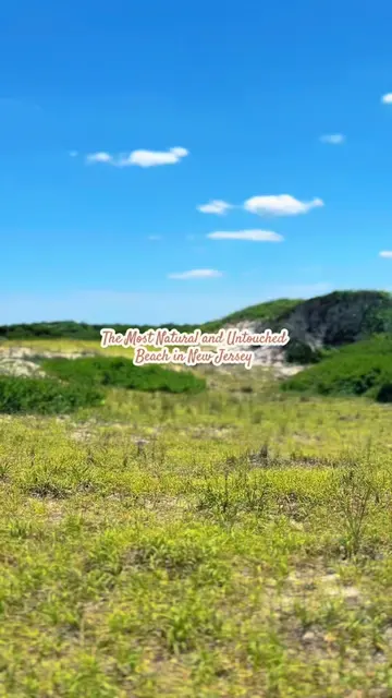 Our next stop is Island Beach State Park in Seaside Park, NJ! This state park is