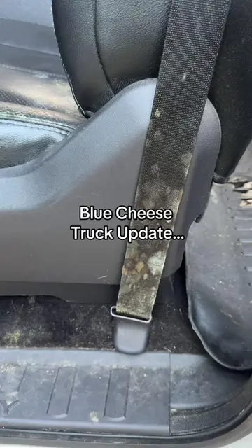 For those of y’all invested… moldy truck update!! I got it professionally detail