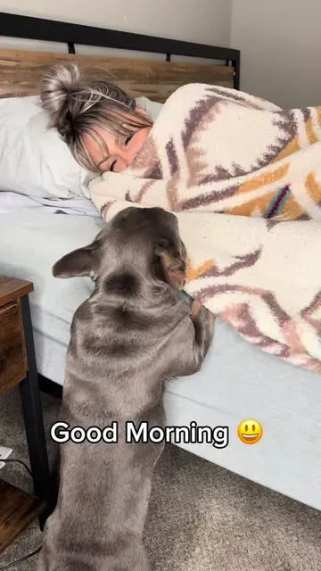 Good Morning 😃 