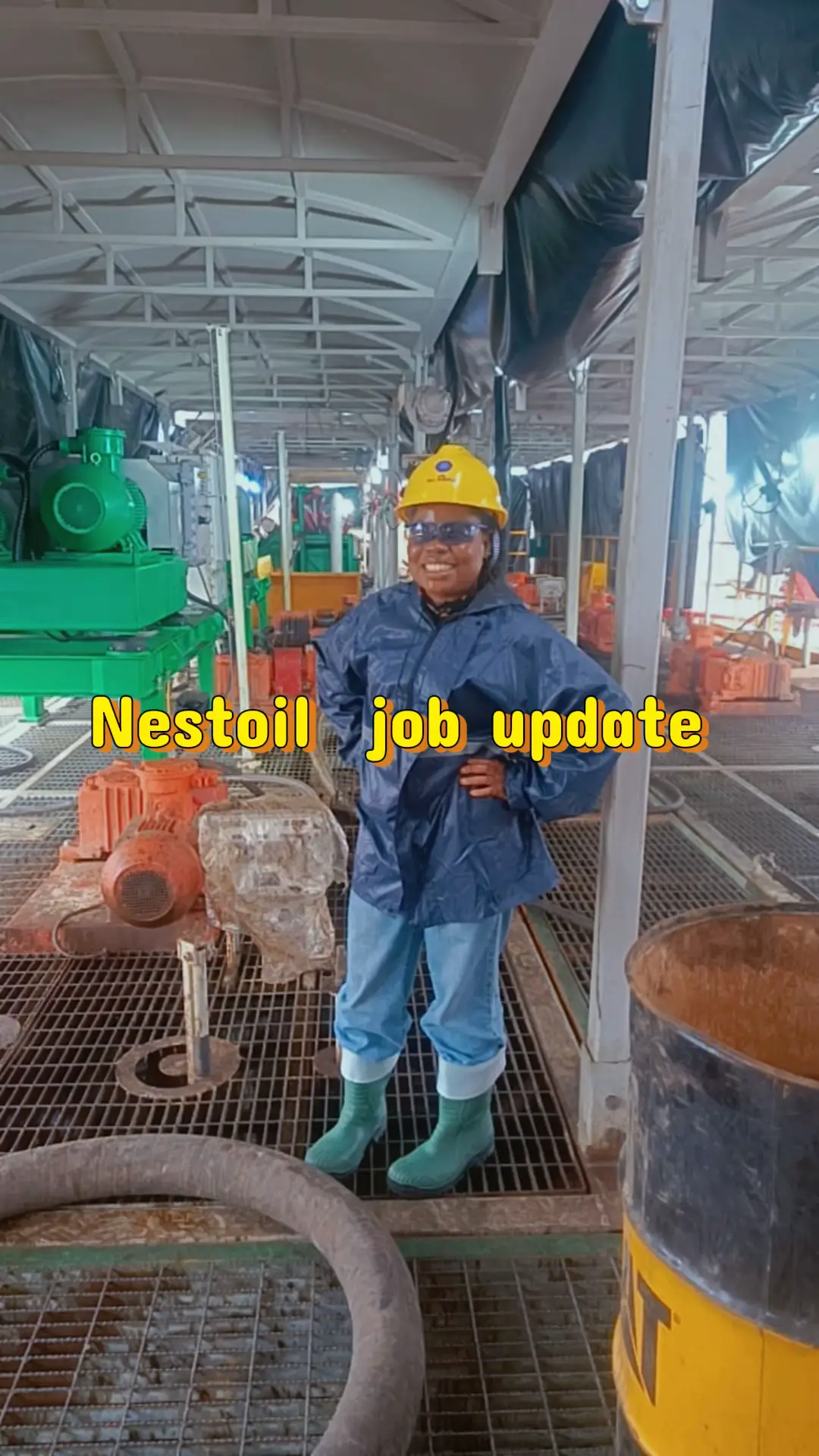 Nestoil Group (Oil & Gas / Engineering) is recruiting across Lagos, Warri, Port 