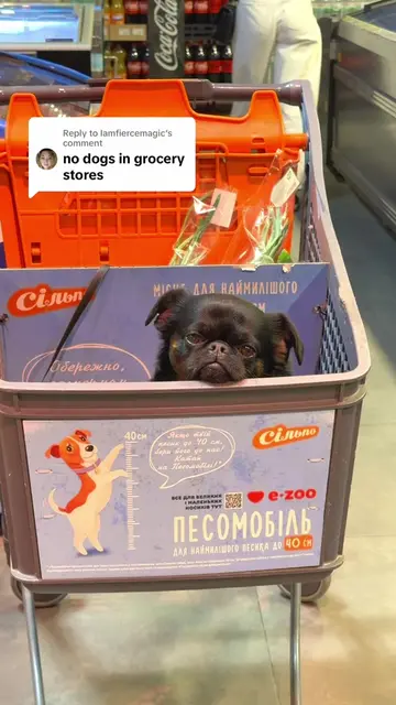 Replying to @Iamfiercemagic  Guys, I’m upset now 🥺 How can I go for cheese now 