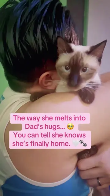 Sometimes, the safest place isn’t a bed… it’s Dad’s arms. 🥹🤍 Ling Ling found h