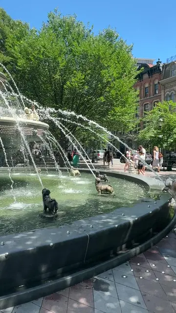 Yesterday’s travels took us downtown through Berczy Park, home of the dog founta