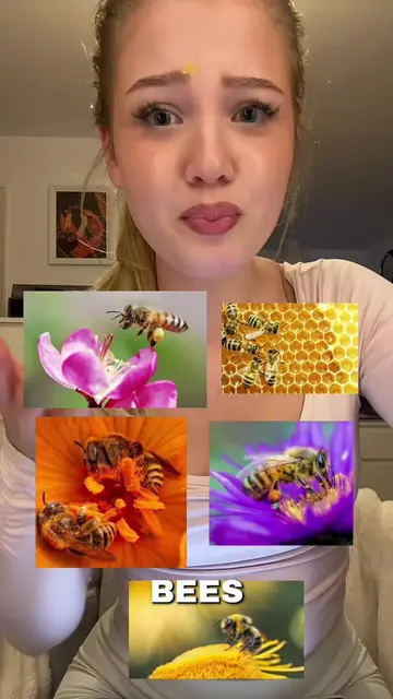 Save our bees 🐝🥹 #savebees #environment #saveourearth #extinctanimals #sustain