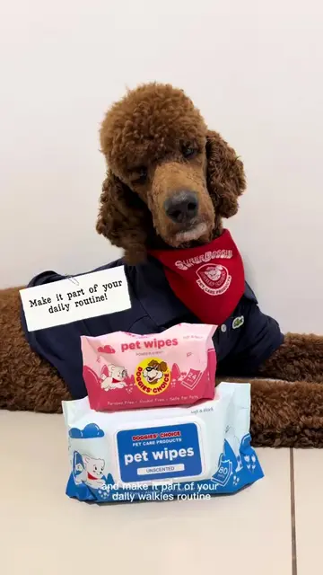 Fresh, clean, and cuddle-ready! 🤍🐾 Doggies’ Choice Pet Wipes make every clean-