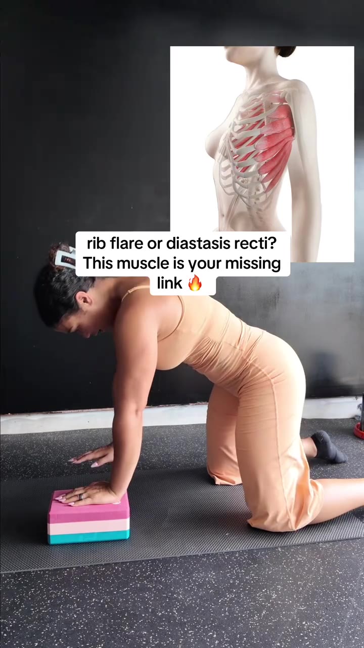 ✨ Okay mamas, let’s talk about the muscle nobody hypes up:  ✨your serratus anter