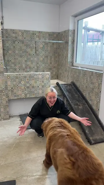 I’m OBSESSED with her 😭  #doggrooming #dogbath #dog #transformation 