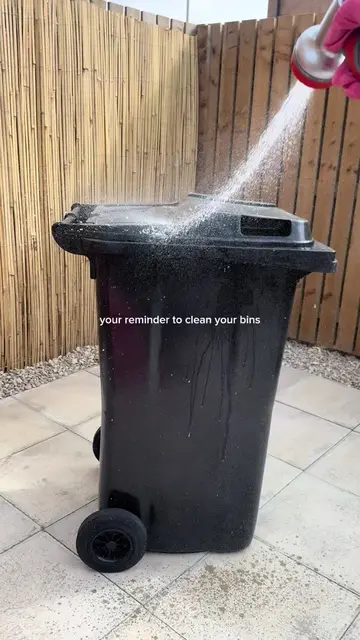 Am I crazy for cleaning my bins like this? 🫧🧼🧹👀🤭 #CleanTok #cleaningtok #as