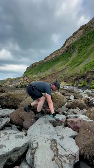 We came across a HUGE shale landslide filled with rocks containing fossils! 🏝️ 
