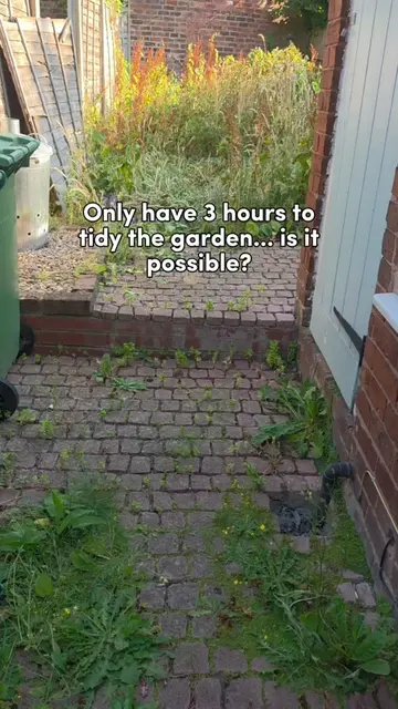 Against the clock... did I make it? 👀 #gardening 