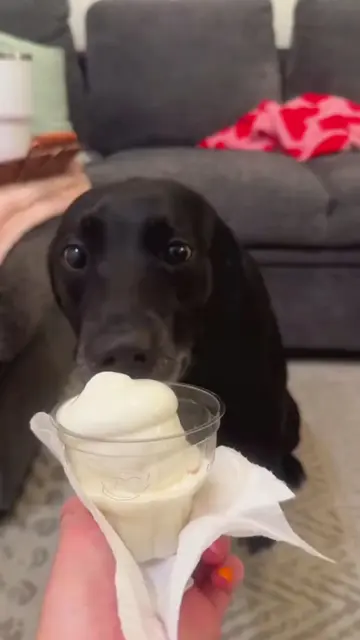 sprinkles are overrated anyway... right? #nationalicecreamday🍦