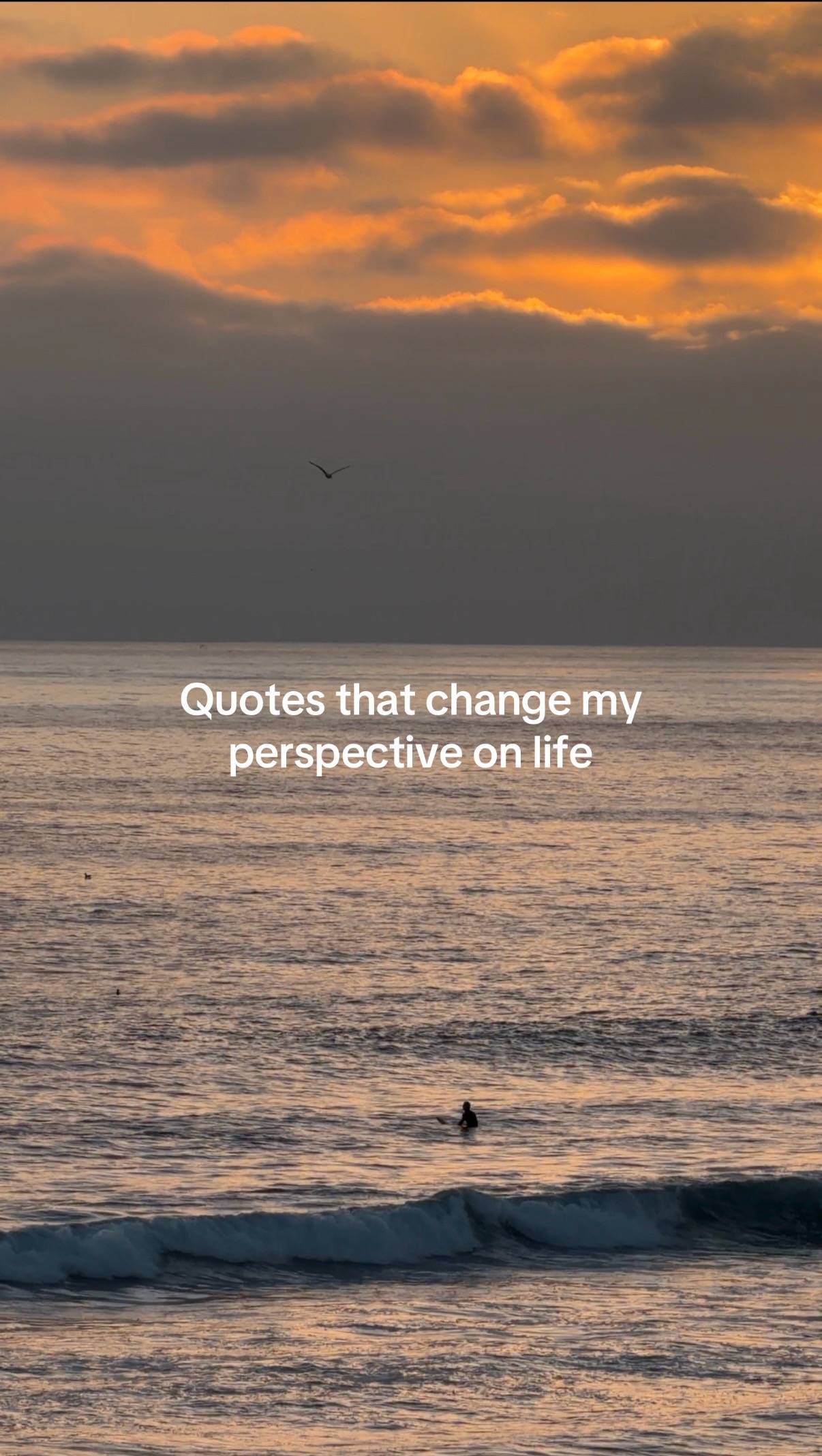 Favs recently  #foryou #mindset #motivation #perspectiveshift #selfgrowth 