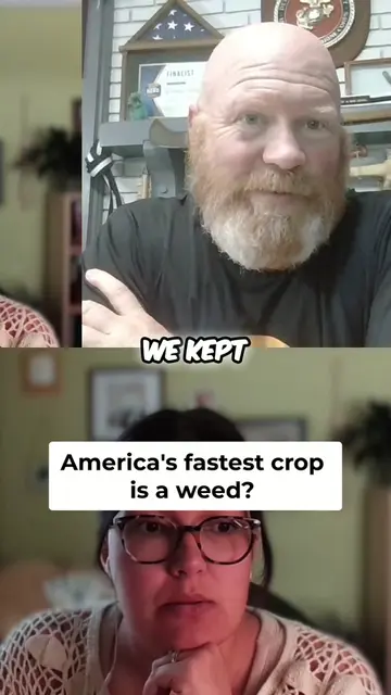 Selling the fastest growing 'weed' on the farm! Turns out, control, cutting, or 