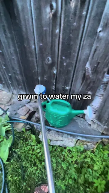 #grwm #routine #wateringplants #gardeningtips 