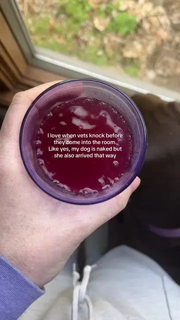 She always a nakey girl 🤭😂 #dogsoftiktok #funny #fyp 