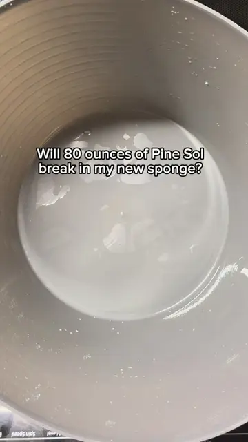 holy Sudss 😳😳😳😳 #asmr #spongesqueezing #viral #pinesol #CleanTok 