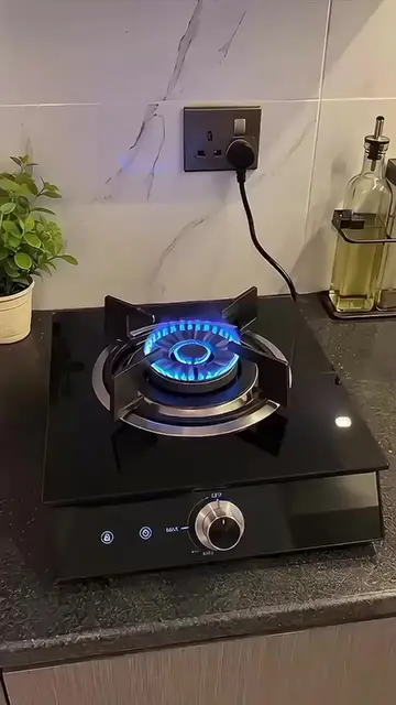 😱 This Electric Stove Looks Like a Real Gas Flame! 🔥 Would You Use It?@Reactio