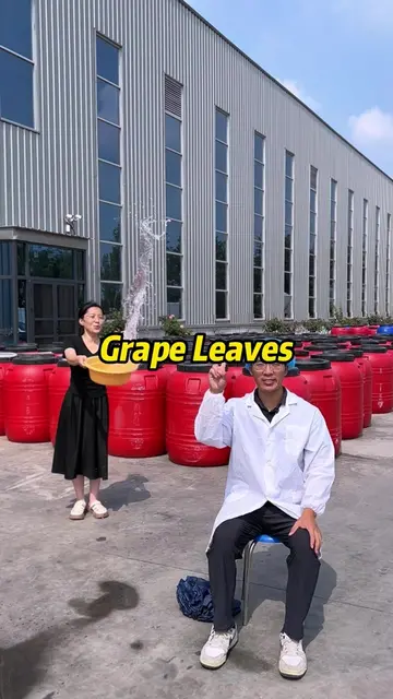 Stop We are a stuffed grape leaves factory with 20 years of production experienc