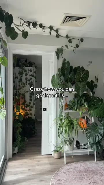 Today I had to change up my space A LOT - One mistake can cost you years of grow