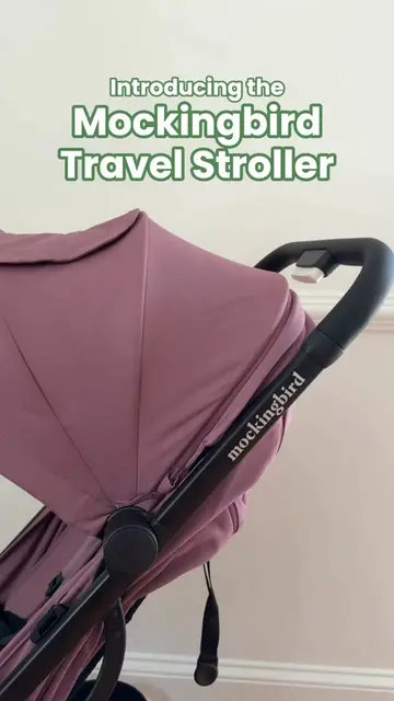 We’ve seen you, we heard you, and now…. we finally made a travel stroller!!! Int